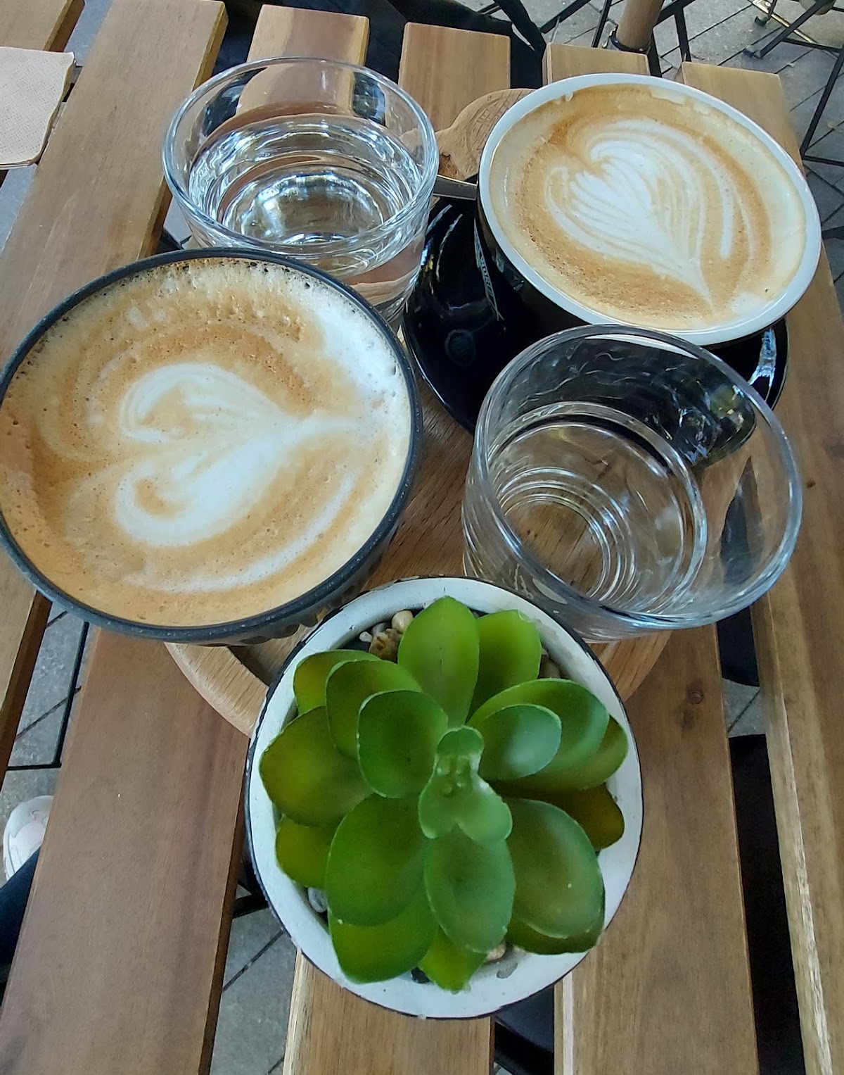 New Coffee World - Amora Gelato - Stara Zagora