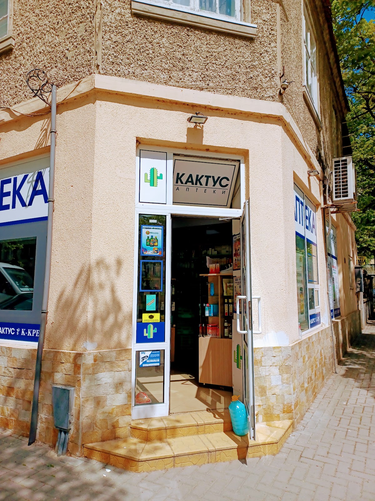 Аптека Кактус