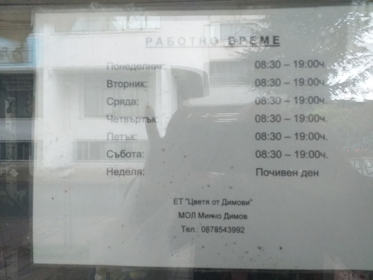 Магазини за цветя