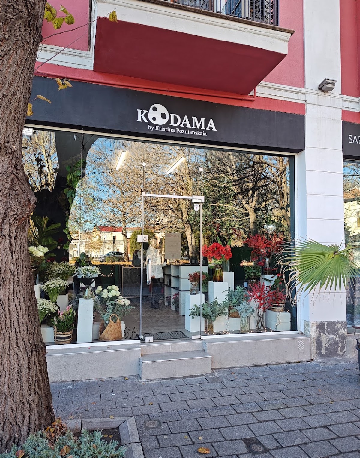 Kodama