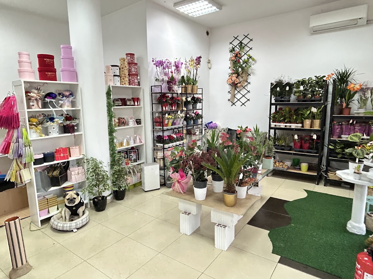 PM flower studio - магазин за цветя