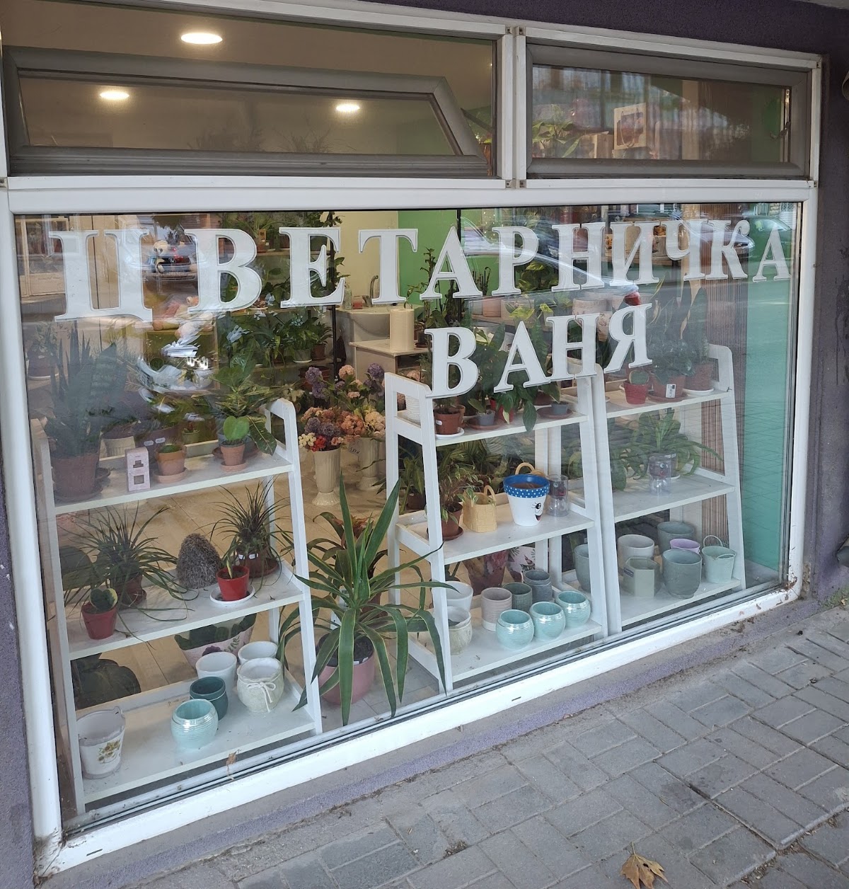 Цветарничка Ваня