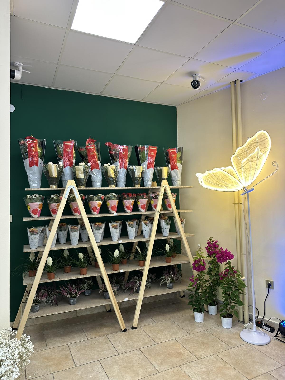 Магазин за цветя ViVa Decor