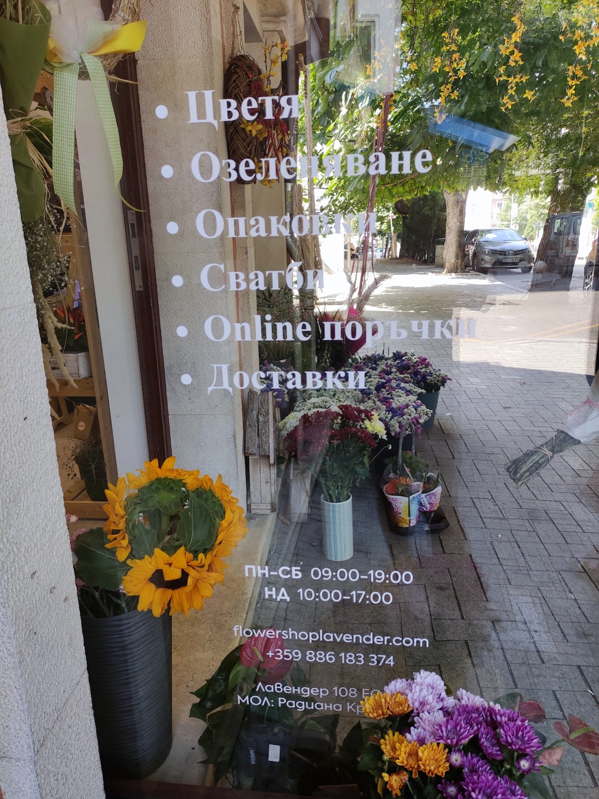 Flower Shop Lavender