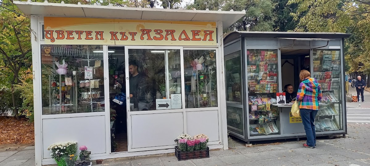 Азалея