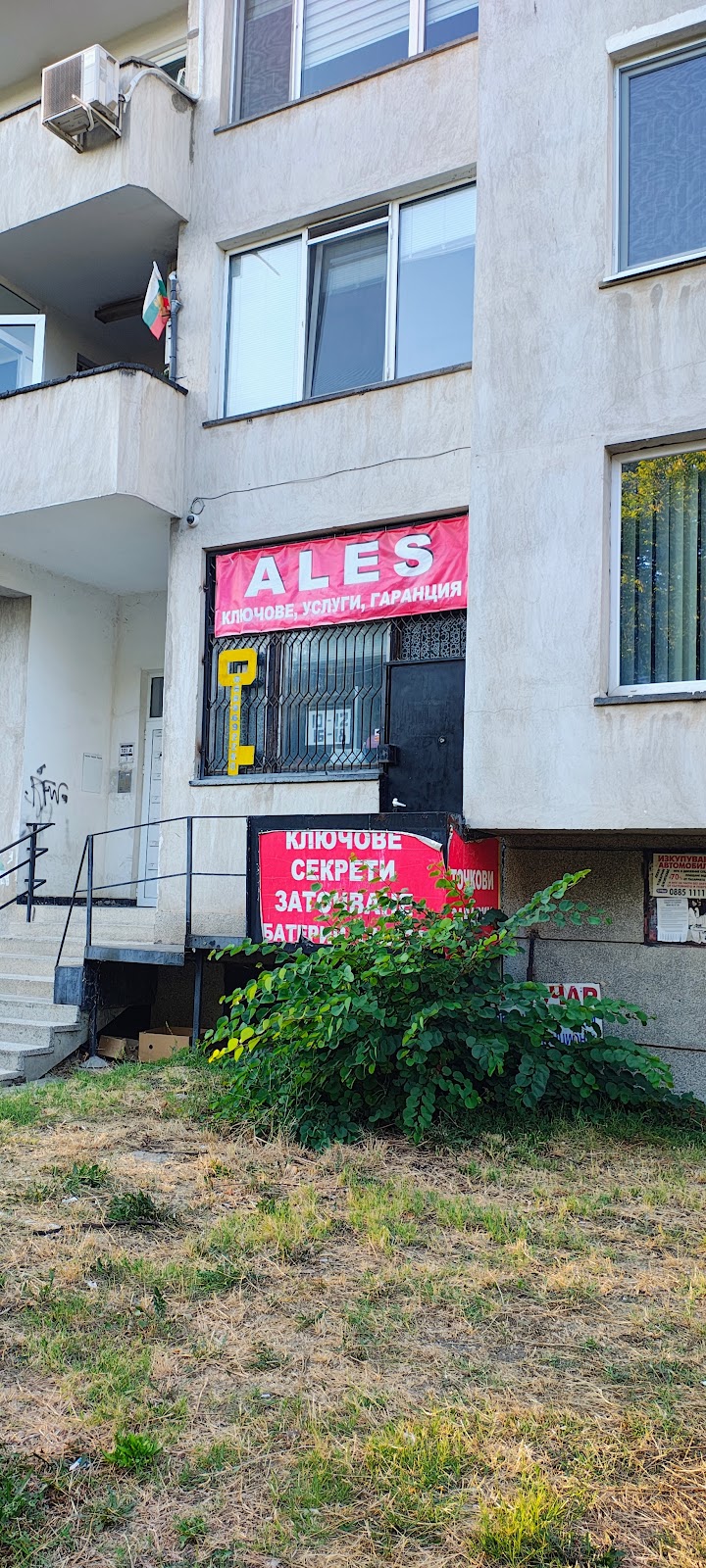 Ales