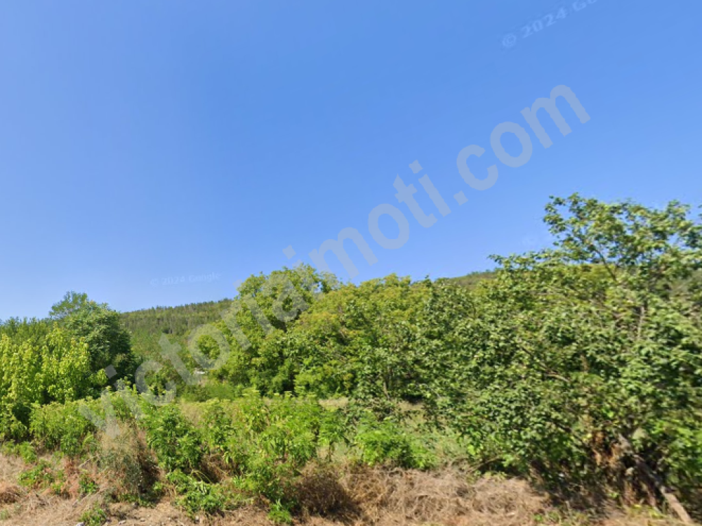 Arsa satılık Veliko Tarnovo oblast Gr.debelets