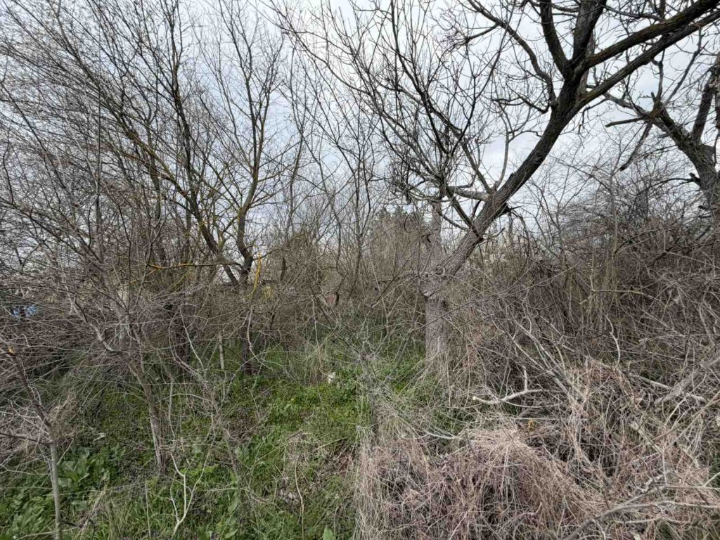 Arsa satılık Stara Zagora oblast S.bratya Daskalovi