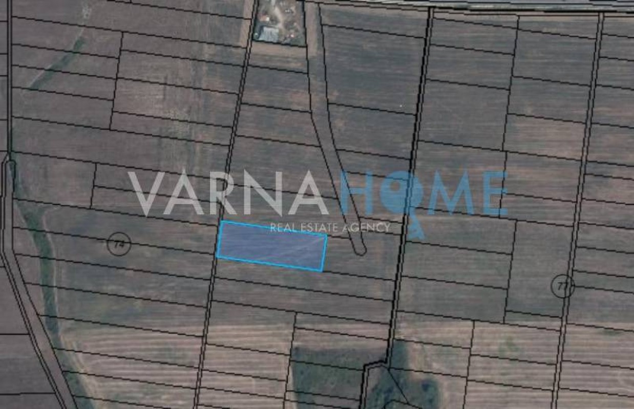 Земя за продажба Варна област с.Старо Оряхово