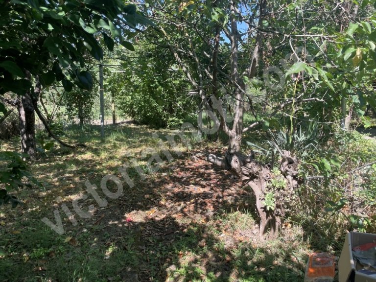 Къща за продажба Габрово област с.Соколово - Photo 10