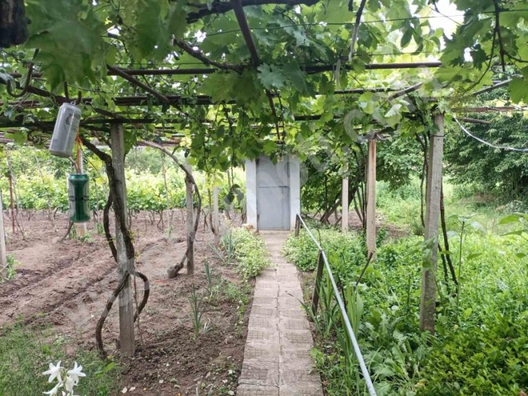 Къща за продажба Велико Търново област с.Алеково - Photo 4