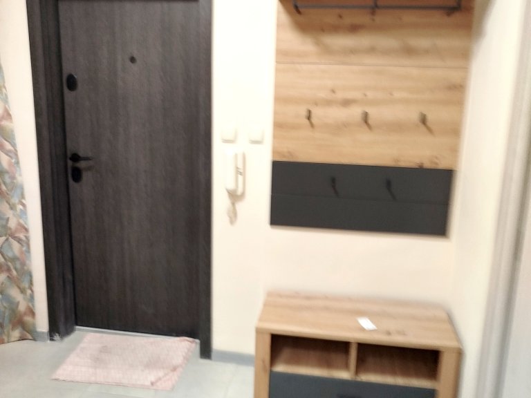 Тристаен апартамент дава под наем София Белите Брези - Photo 5