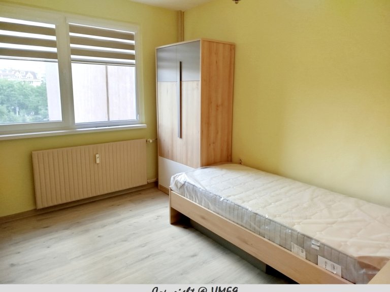Тристаен апартамент дава под наем София Белите Брези - Photo 8