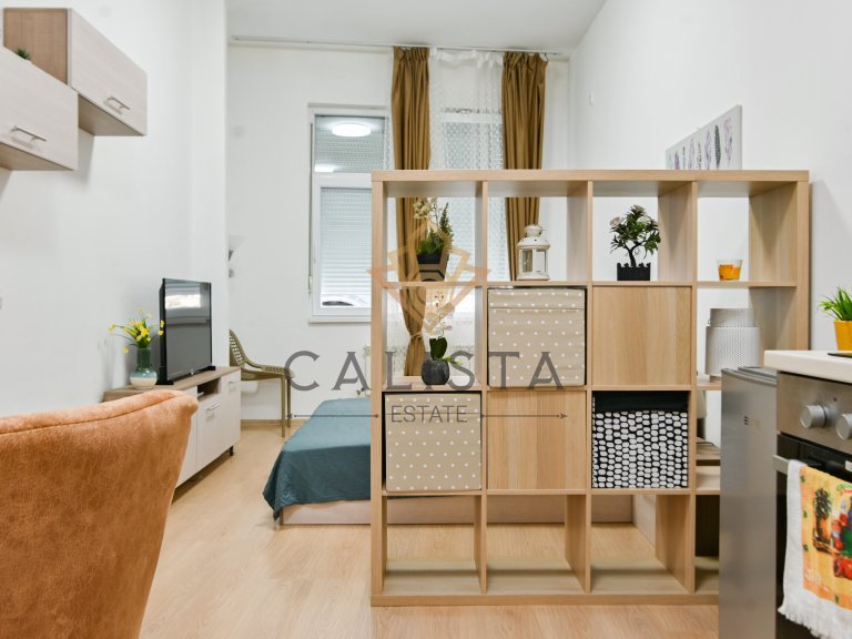 Bir Artı Sıfır Daire kiralık Sofia Studentski Grad - Photo 5
