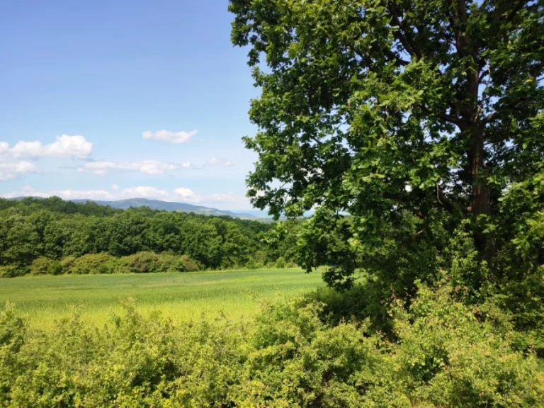 Arsa satılık Pernik oblast S.rudartsi