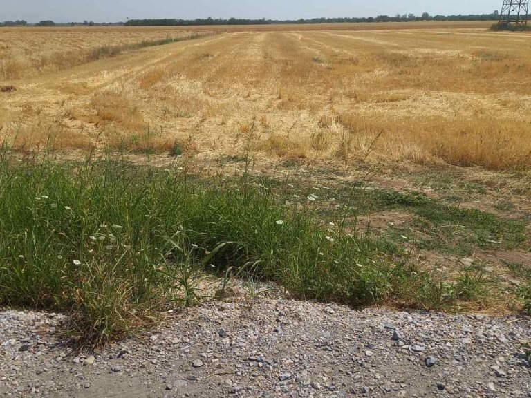 Land for rent Plovdiv Asenovgradsko Shose - Photo 5