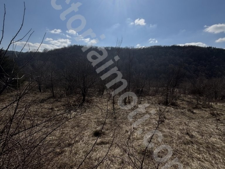 Земя за продажба Велико Търново област с.Войнежа - Photo 2