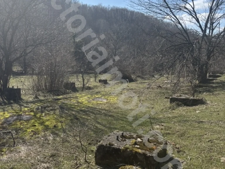Земя за продажба Велико Търново област с.Войнежа