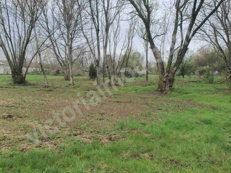 Земя за продажба Велико Търново област с.Никюп - Photo 3