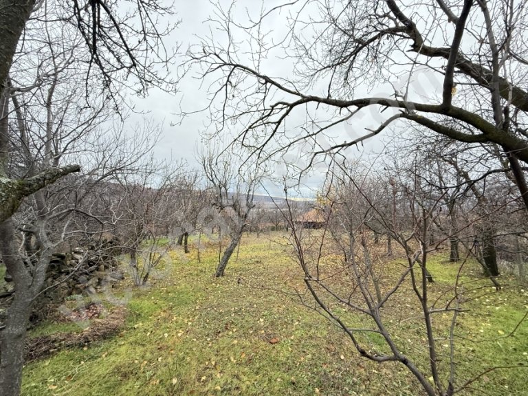 Земя за продажба Велико Търново област с.Пчелище - Photo 3