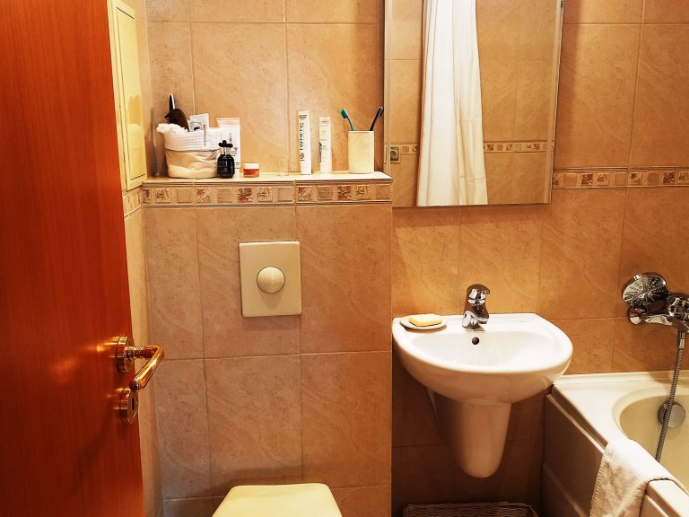 Тристаен апартамент за продажба София Белите Брези - Photo 11
