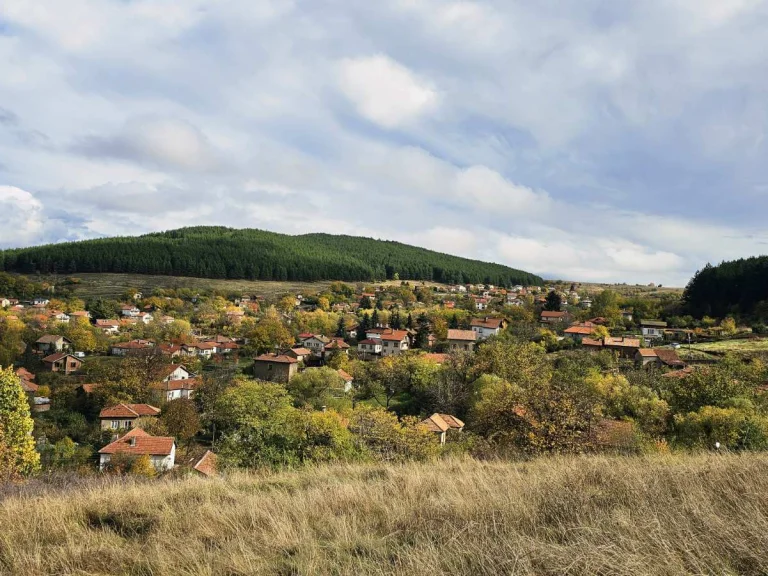 Земя за продажба Перник област с.Гълъбник