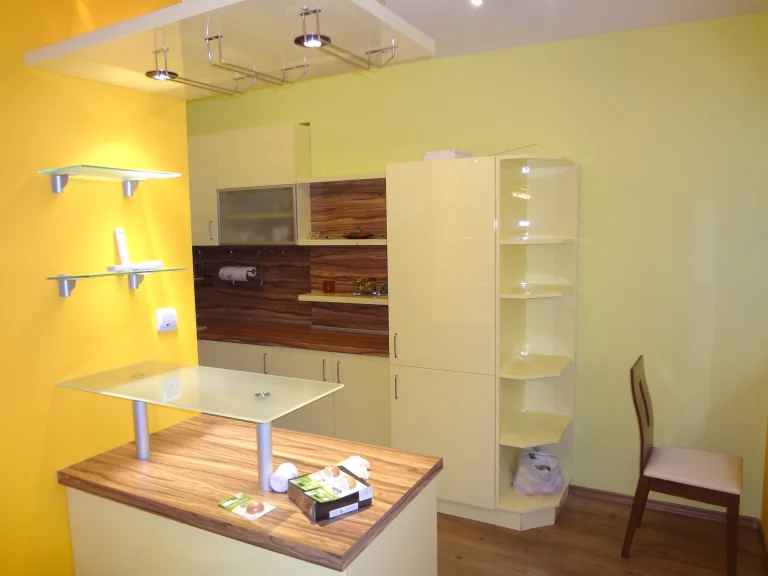 Тристаен апартамент дава под наем София Яворов