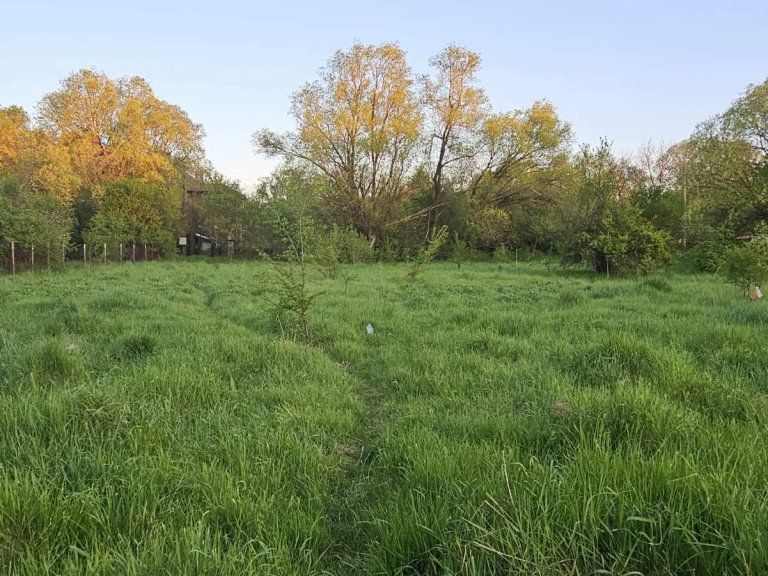 Земя за продажба Перник област с.Гълъбник - Photo 2