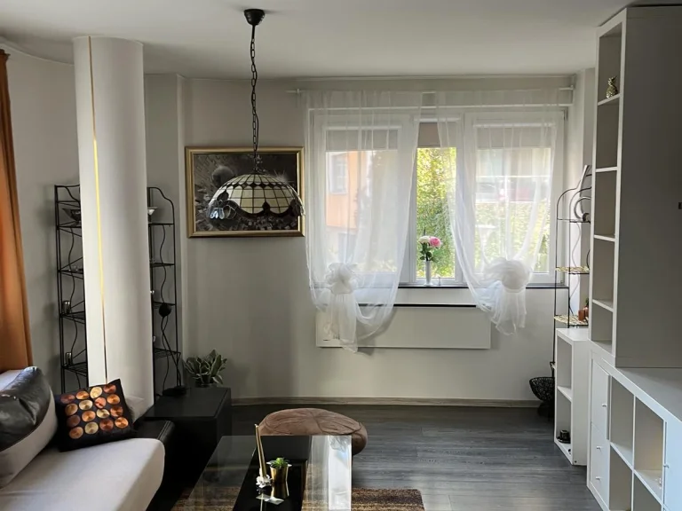 Двустаен апартамент дава под наем София Манастирски ливади Запад