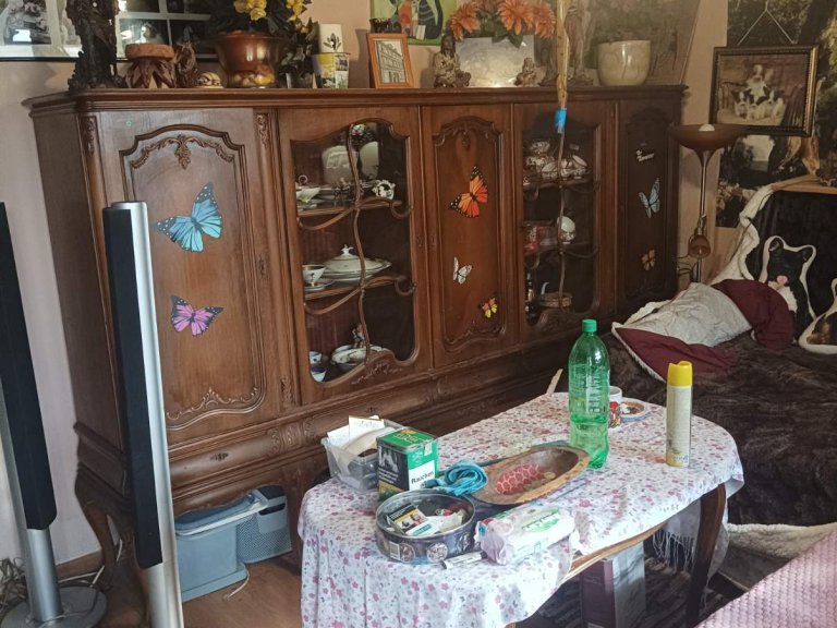 Ev satılık Varna oblast S.konstantinovo