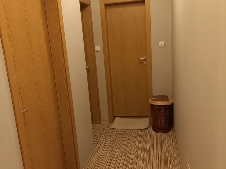 Тристаен апартамент дава под наем София Яворов