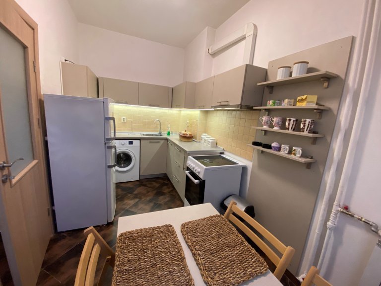 Тристаен апартамент дава под наем София Център - Photo 4