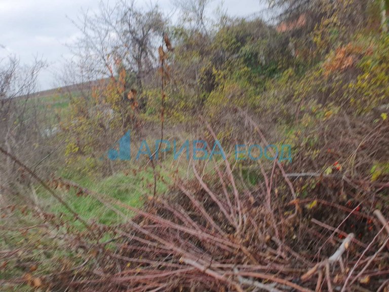 Земя за продажба Хасково Кенана - Photo 2