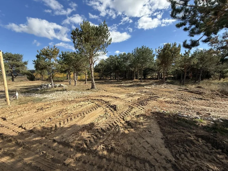 Земя за продажба Пазарджик област к.Цигов Чарк