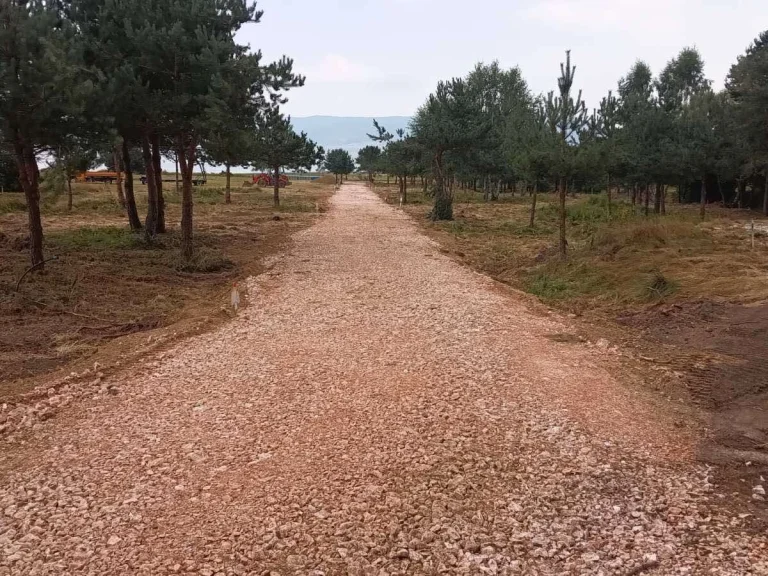 Земя за продажба Пазарджик област к.Цигов Чарк