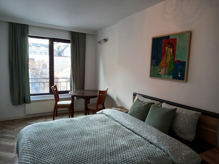 İki Artı Bir Daire kiralık Sofia Tsentar - Photo 4