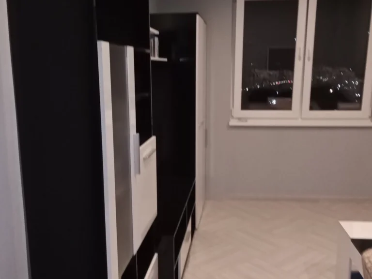 Двустаен апартамент дава под наем Варна Младост 1