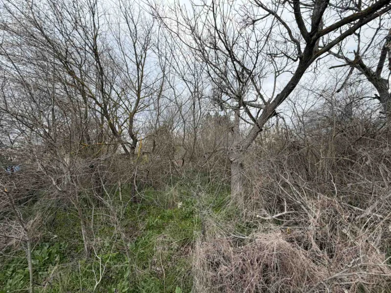 Земя за продажба Стара Загора област с.Братя Даскалови