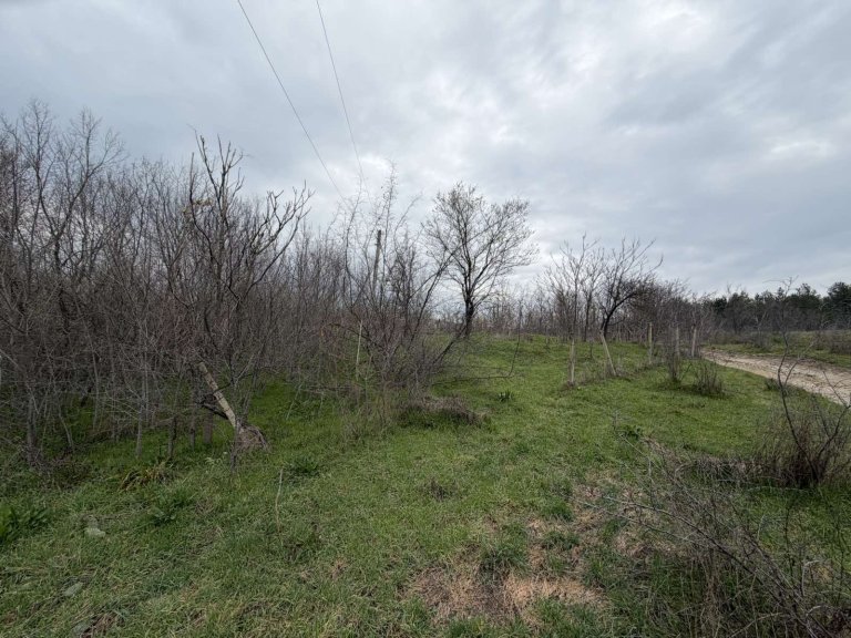 Земя за продажба Стара Загора област с.Братя Даскалови - Photo 2