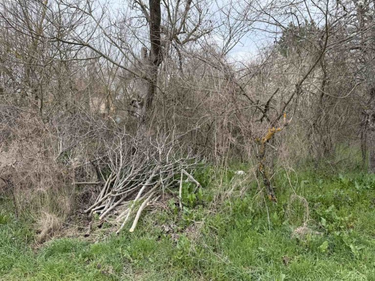 Земя за продажба Стара Загора област с.Братя Даскалови - Photo 4