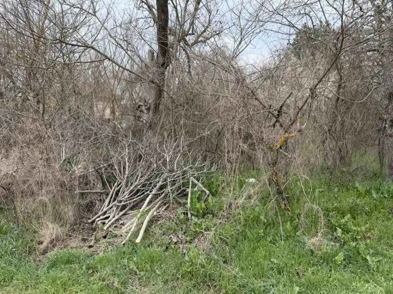 Земя за продажба Стара Загора област с.Братя Даскалови