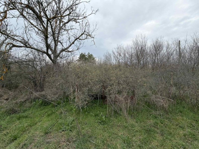 Земя за продажба Стара Загора област с.Братя Даскалови - Photo 5