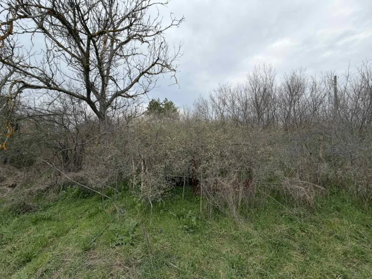 Земя за продажба Стара Загора област с.Братя Даскалови