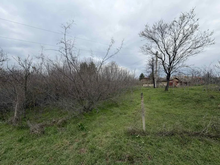 Земя за продажба Стара Загора област с.Братя Даскалови