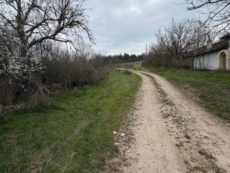 Земя за продажба Стара Загора област с.Братя Даскалови - Photo 7