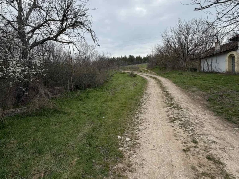 Земя за продажба Стара Загора област с.Братя Даскалови