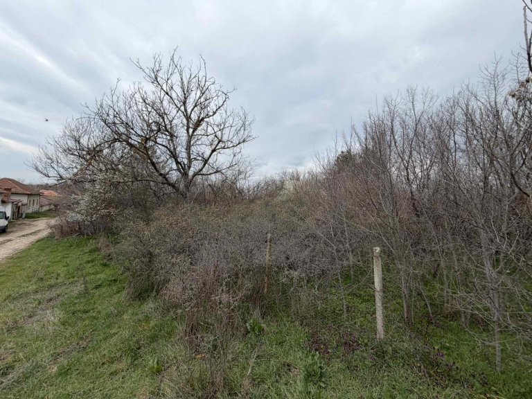 Земя за продажба Стара Загора област с.Братя Даскалови - Photo 9