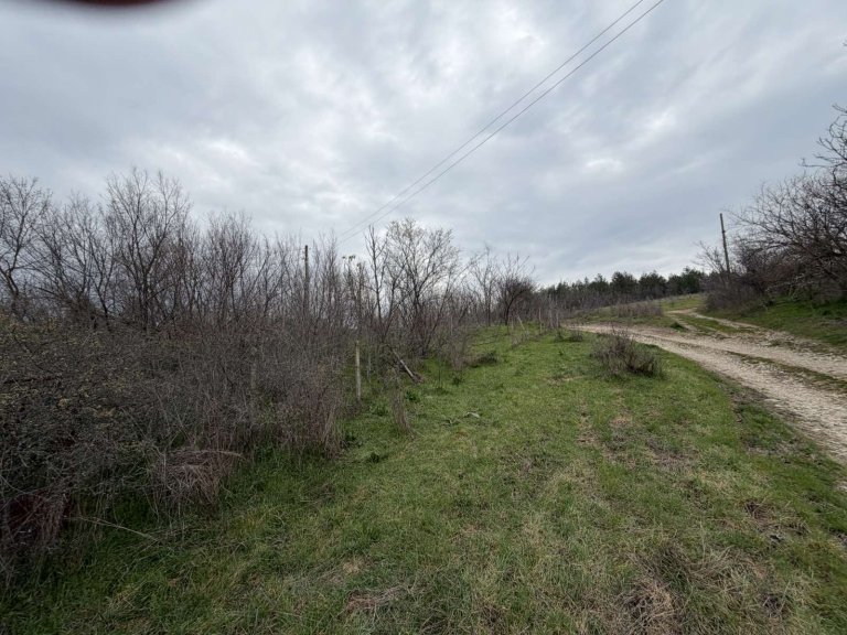 Земя за продажба Стара Загора област с.Братя Даскалови - Photo 10