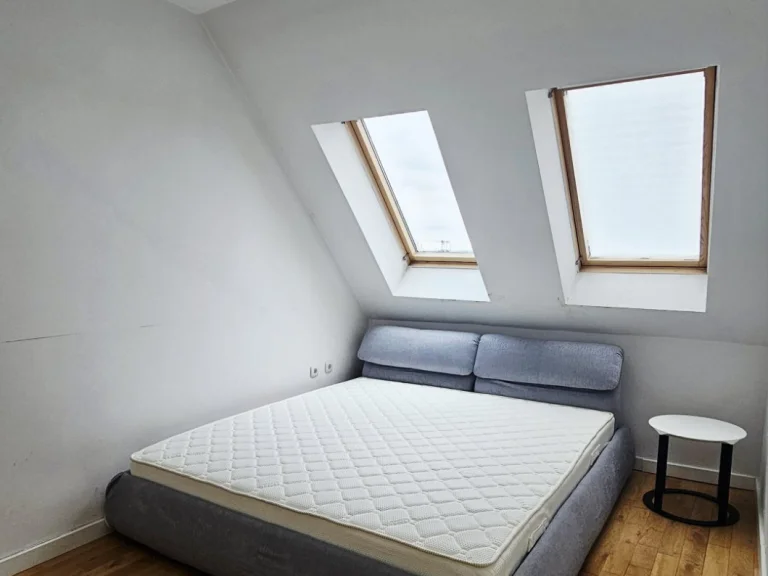 Тристаен апартамент дава под наем София Витоша