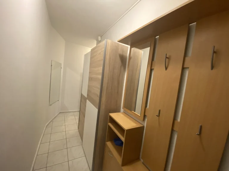 Двустаен апартамент дава под наем София Лозенец